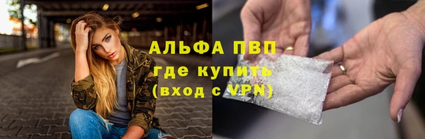 хмурый Абаза