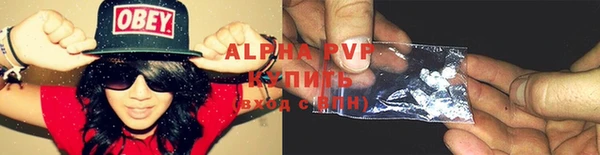 хмурый Абаза