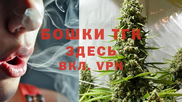 хмурый Абаза