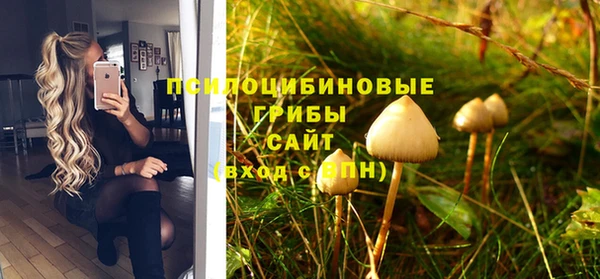 хмурый Абаза