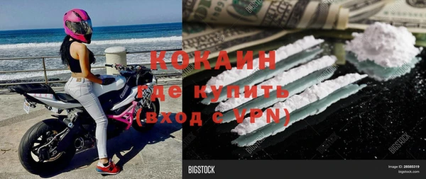 хмурый Абаза