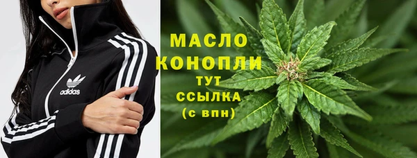 хмурый Абаза