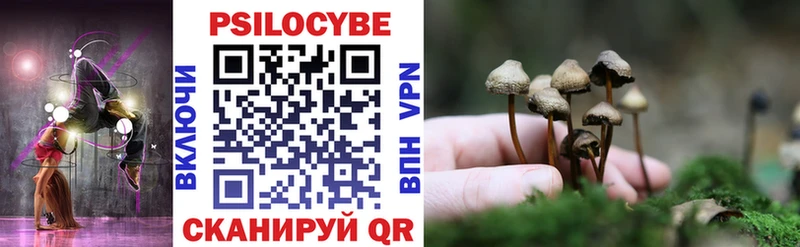 дарнет шоп  Кашин  OMG сайт  Псилоцибиновые грибы Psilocybine cubensis 